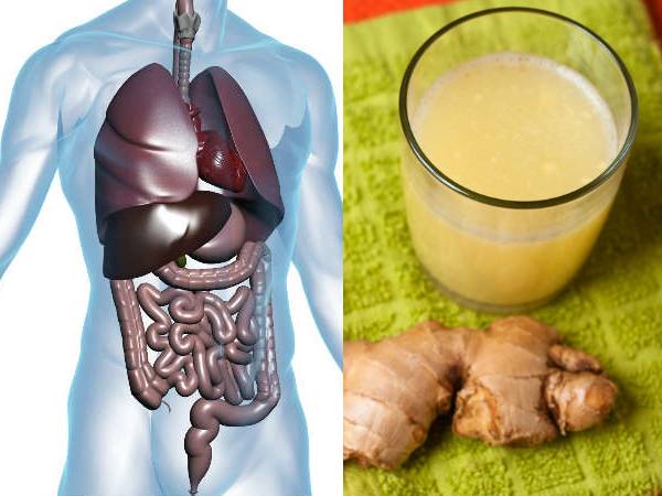 இஞ்சி நீர் நச்சுத்தன்மைக்கு நல்லதா?