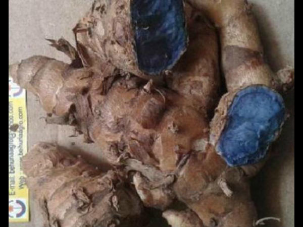 காளி ஹல்டி