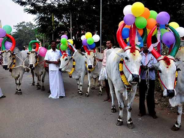 விவசாயத்திற்கு உதவும் கருவிகள்