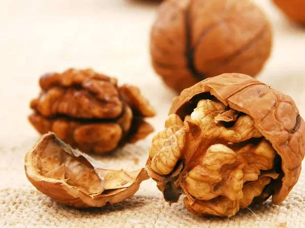 நினைவாற்றலுக்கு ஊறவைத்த அக்ரூட் பருப்புகள்