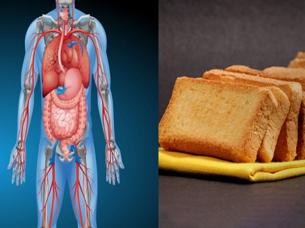 கார்ப்ஸ்