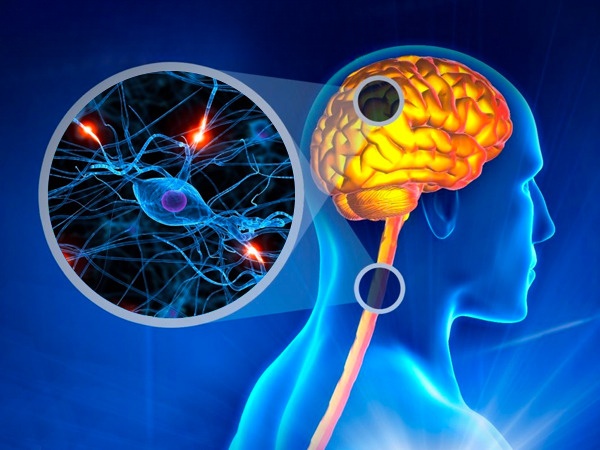 சூடோபுல்பார் (Pseudobulbar)