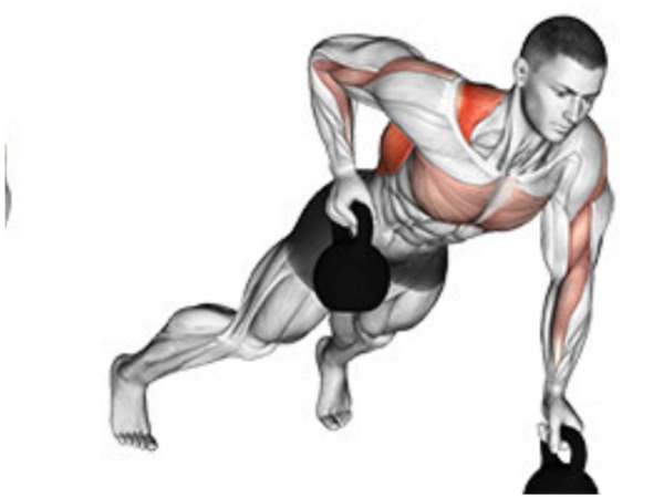 ரோ பயிற்சிகள் (Rows with Rotation)