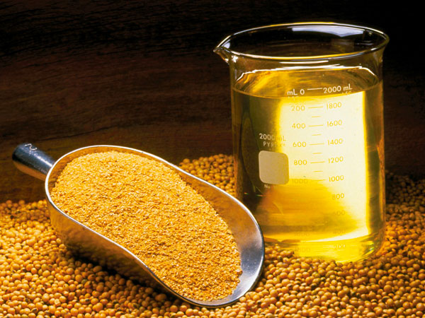 சோயாபீன் எண்ணெய்