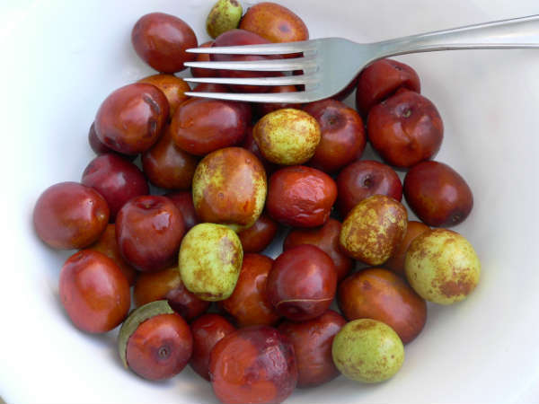 இறுதிக்குறிப்பு