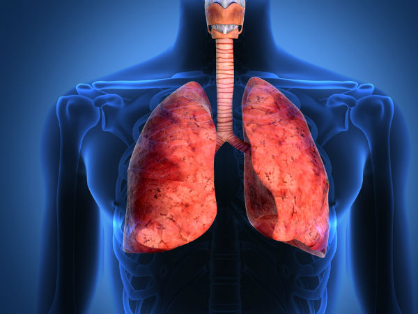 How To Purify Lungs Naturally As Per Ayurveda in Tamil