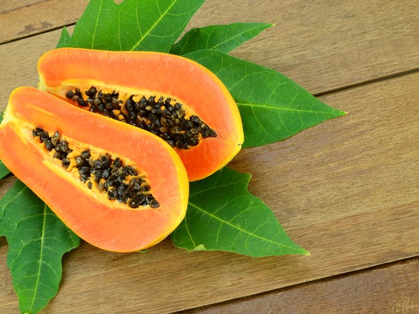 Summer Constipation: Eat These Fruits To Prevent It In Tamil