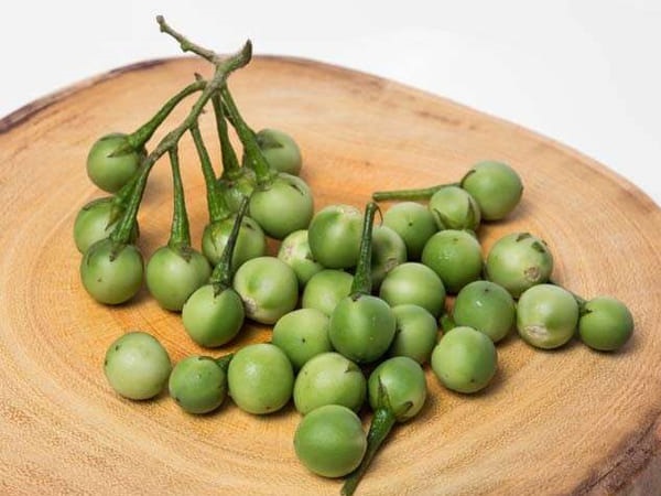 சுண்டக்காய்