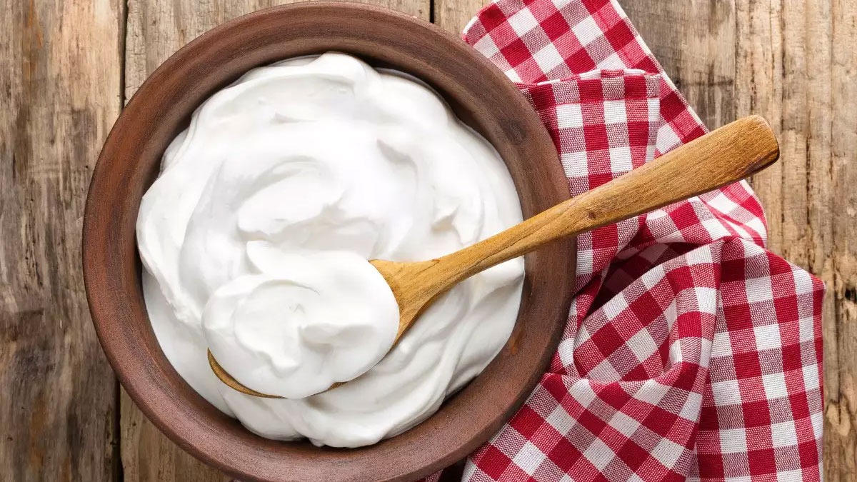 How To Make Set Thick Curd At Home In Tamil 