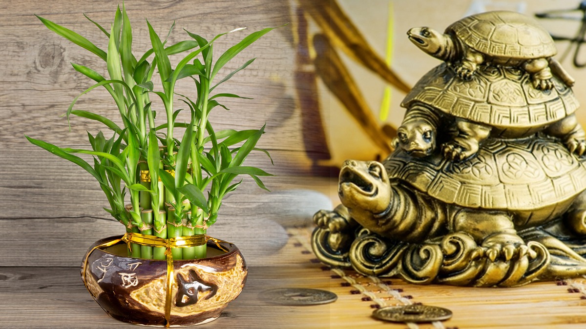 Tricks to Eliminate Bad Luck and Evil Eye From Your House in Tamil Tricks to Eliminate Bad Luck and Evil Eye From Your House in Tamil