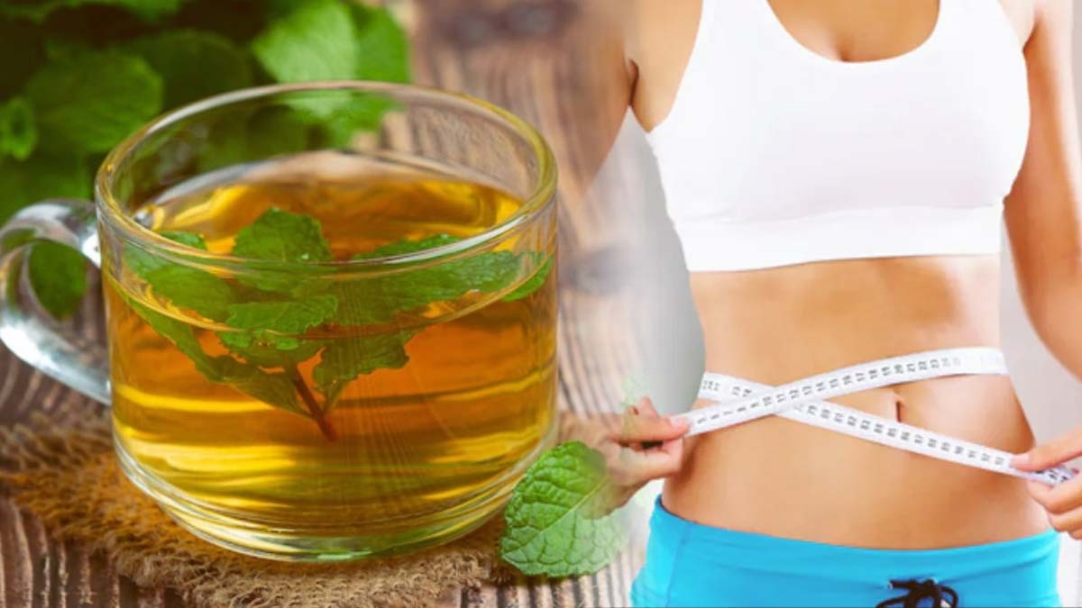 Best tea options in summer for weight loss in Tamil Best tea options in summer for weight loss in Tamil