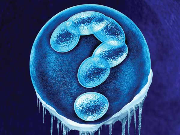 Priyanka Chopra Frozen Her Eggs In 30s: Know What Is Egg Freezing 