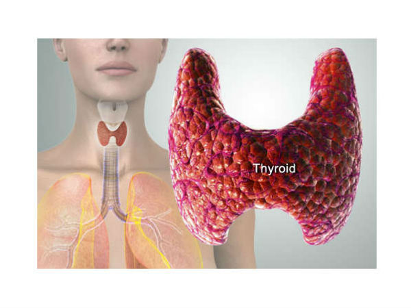 Thyroid Diet: Best Bed Time Foods to Manage Thyroid Levels in Tamil Thyroid Diet: Best Bed Time Foods to Manage Thyroid Levels in Tamil