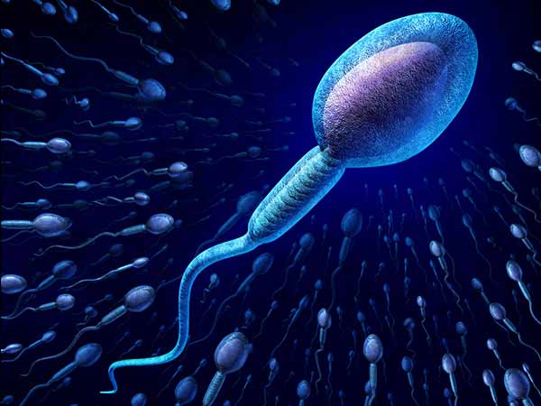 Signs of Low Sperm Count in Men in Tamil Signs of Low Sperm Count in Men in Tamil