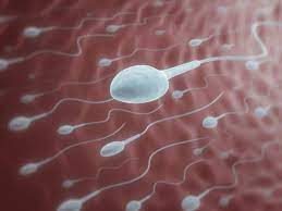 Signs of Low Sperm Count in Men in Tamil Signs of Low Sperm Count in Men in Tamil