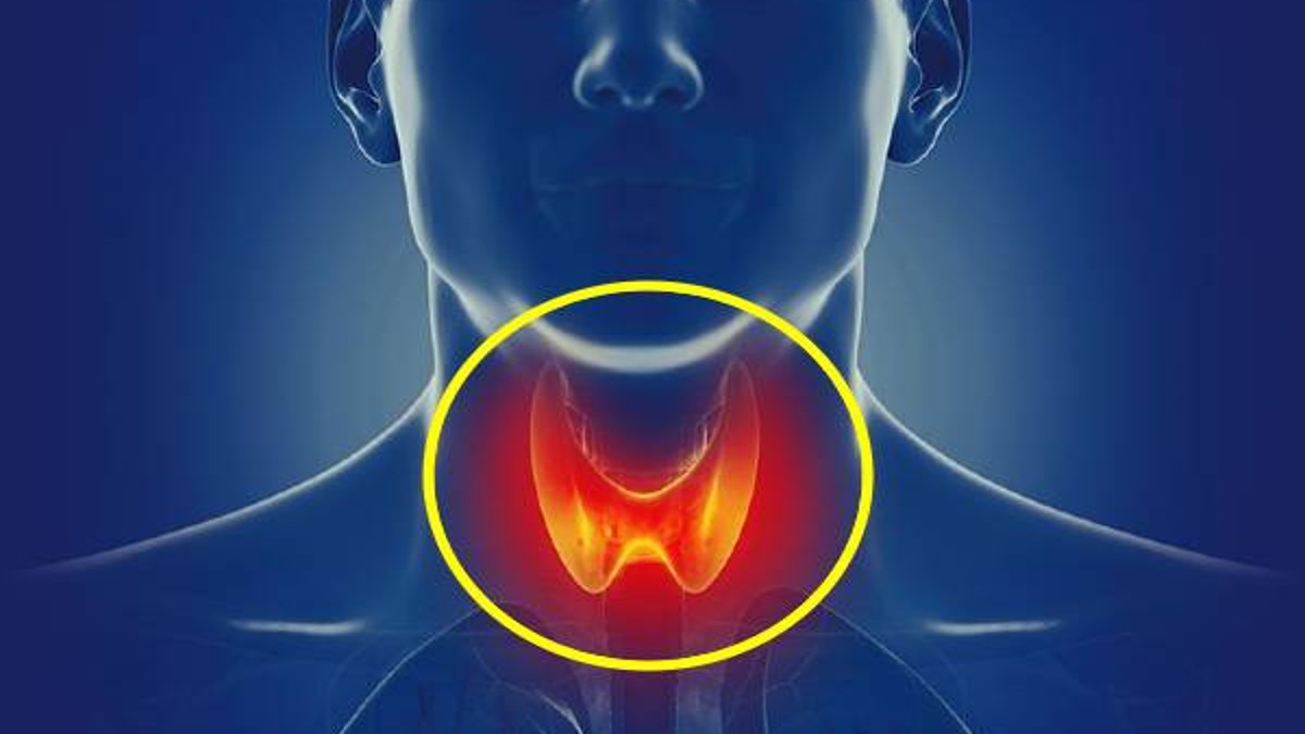 Thyroid Diet: Best Bed Time Foods to Manage Thyroid Levels in Tamil Thyroid Diet: Best Bed Time Foods to Manage Thyroid Levels in Tamil
