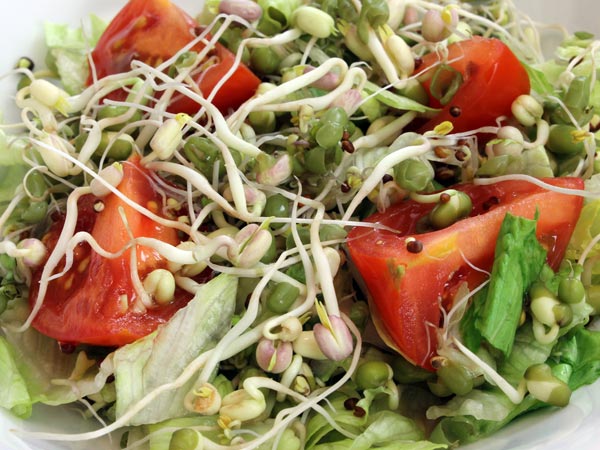 Healthy Snacks That Can Help You Lose Weight In Tamil 