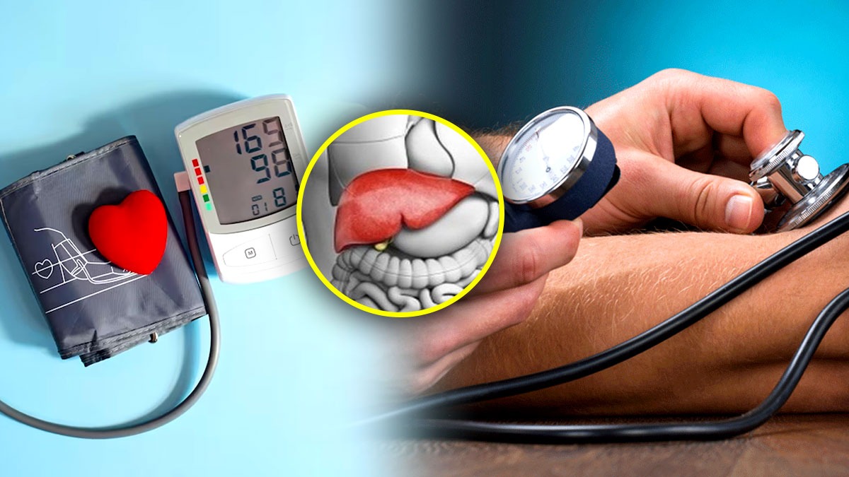 How High BP Affects Your Heart And Liver In Tamil How High BP Affects Your Heart And Liver In Tamil