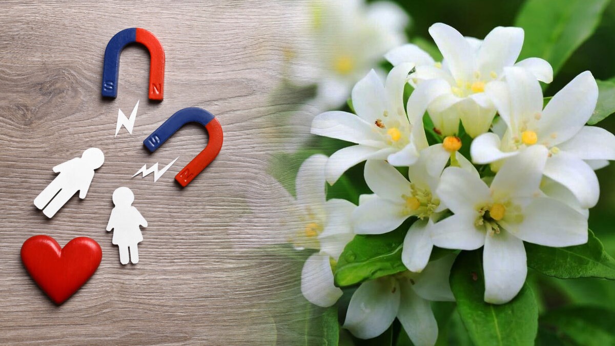 Meena Rashi (Pisces) Monthly Horoscope in Kannada