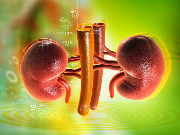 Reasons for Kidney Problems In Women Post 30s in Tamil