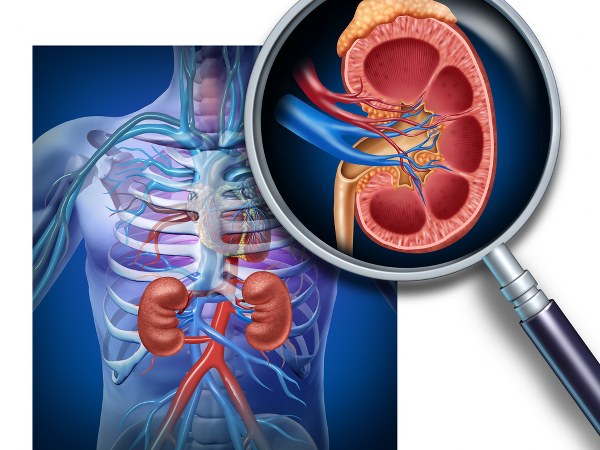 Signs That You May Have Kidney Disease In Tamil