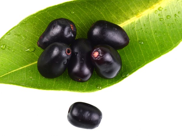 Unknown Health Benefits of Black Jamun in Tamil 