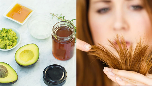 Home Remedy For Hair Split Ends In Tamil 