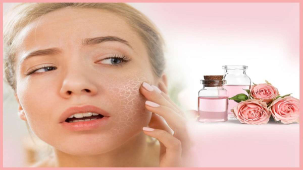 Ingredients Not To Mix With Rose Water For Skin In Tamil