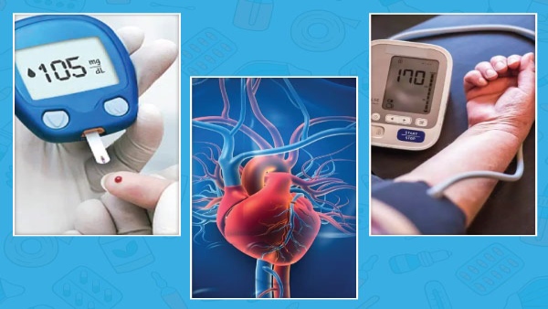 Nutritious Root Vegetables To Add In Your Diet In Tamil