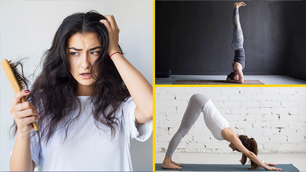 International Yoga Day 2023: Yoga Asanas To Prevent Hair Fall In Tamil