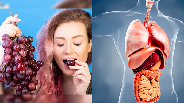 Benefits Of Eating 5 Grapes In Empty Stomach In Tamil Benefits Of Eating 5 Grapes In Empty Stomach In Tamil