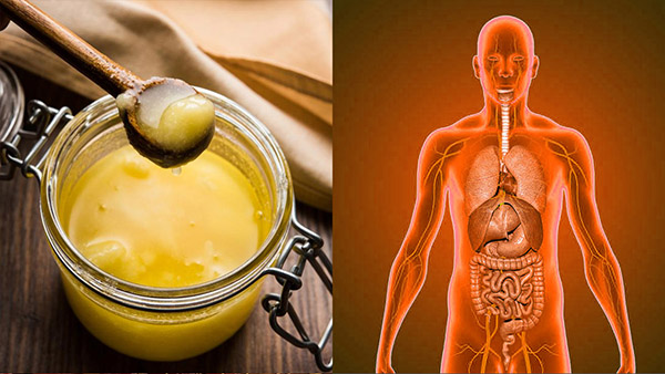 Top Five Benefits Of Eating Ghee In The Rainy Season In Tamil Top Five Benefits Of Eating Ghee In The Rainy Season In Tamil