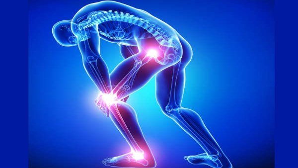 Top ten superfoods to have strong joint and cartilage In Tamil Top ten superfoods to have strong joint and cartilage In Tamil