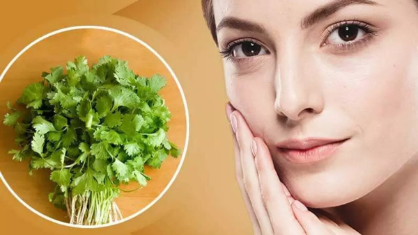 Coriander Leaves For A Natural Skin Glow In Tamil 
