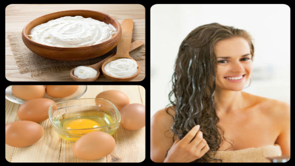 How Eggs Prevent Hair Loss And Aid Hair Growth In Tamil 