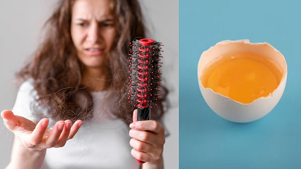 How Eggs Prevent Hair Loss And Aid Hair Growth In Tamil 