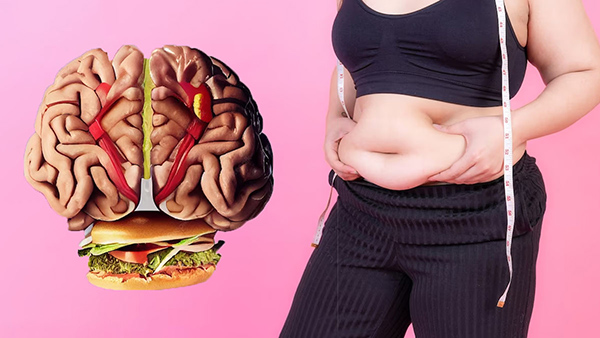 How Obesity Affects Brain Health In Tamil