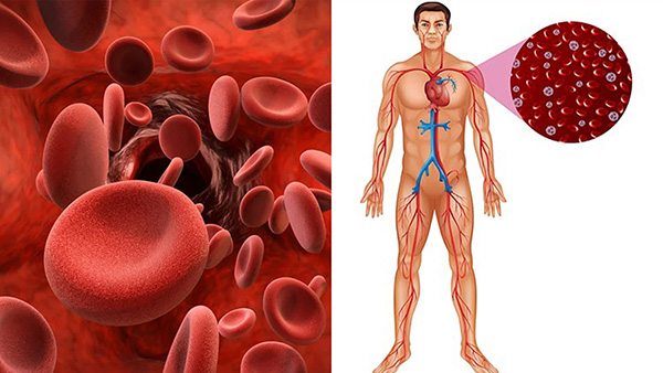 How To Increase Platelets Naturally To Fight Dengue In Tamil