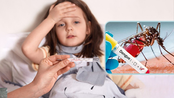 How To Prevent Your Child From Dengue Fever In Tamil 