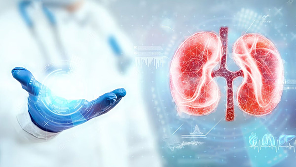 Reasons Of Kidney Failure Rather Than Alcohol In Tamil Reasons Of Kidney Failure Rather Than Alcohol In Tamil