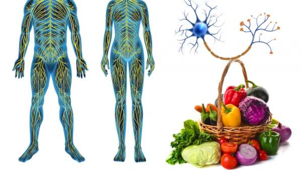 Top Eight Foods To Fight Nerve Pain In Tamil