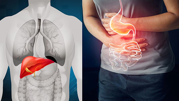 Signs of Liver Cancer Which Can be Mistaken as Indigestion​ in Tamil