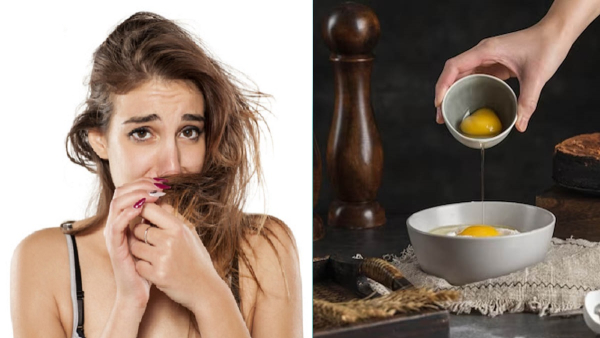 Steps To Get Rid Of Egg Smell From Hair In Tamil Steps To Get Rid Of Egg Smell From Hair In Tamil
