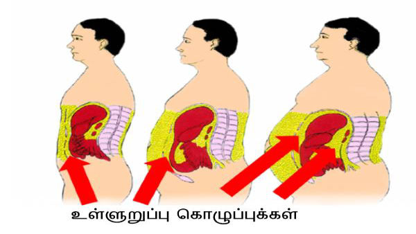 Unknown Facts And Risks Of High Cholesterol In Tamil