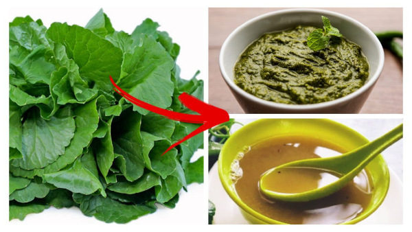 Top Seven Health Benefits Of Eating Vallarai Keerai In Tamil