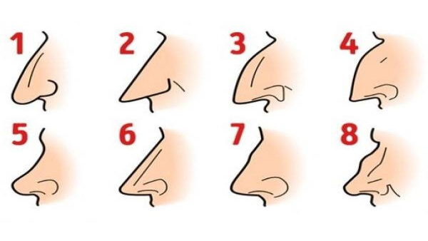 What the Shape of Your Nose Says About Your Personality in Tamil What the Shape of Your Nose Says About Your Personality in Tamil