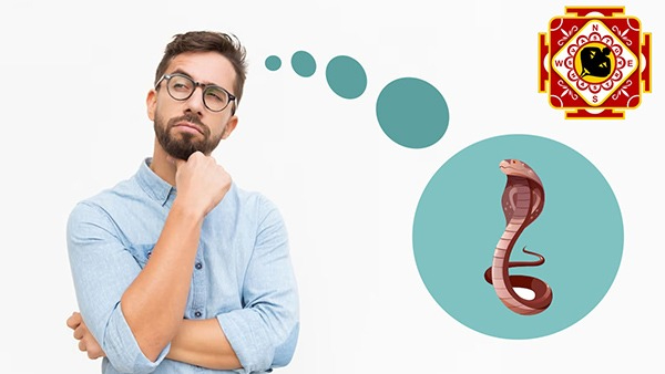 Vastu Tips: Placement of a Artificial Snake in Your Home as per Vastu Shastra in Tamil