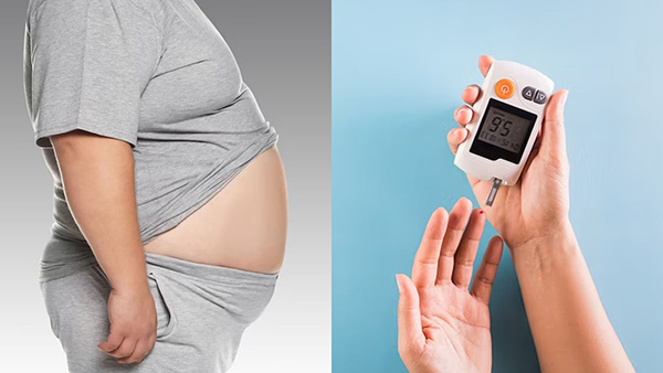 Ways Avocado Can Help You Lose Weight Fast In Tamil 