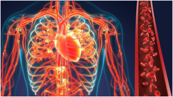 Health Tips: Top 6 Fruits That Are Rich In Iron In Tamil