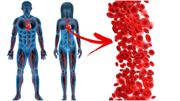 Health Tips: Top 5 Home Remedies To Detoxify Your Blood In Tamil